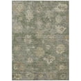 thumbnail image 2 of Addison Rugs Chantille Indoor/Outdoor Traditional Global Sage Machine Washable Rectangle Rug, 9' x 12', 2 of 8