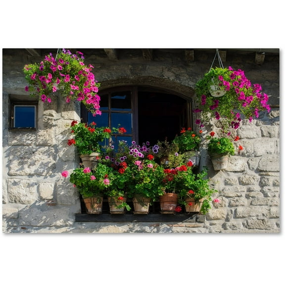 Trademark Fine Art "Window Dressing" Canvas Art by Michael Blanchette Photography