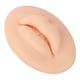 thumbnail image 4 of Silicona reutilizable boca labios tatuaje práctica piel elasticidad humano labio molde Ndcxsfigh Cuidado Belleza, 4 of 5