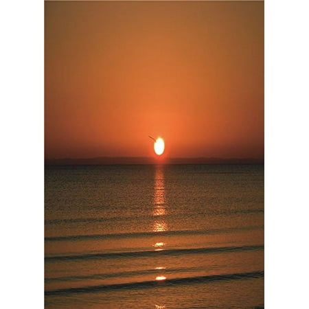 Image of HelloDecor Sea Photo Background Children for Baby Photo Studio Props Photography Backdrops Sunset 5x7ft