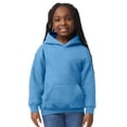 thumbnail image 1 of Gildan Sweat à Capuche Épais pour Garçons/filles, 1 of 3