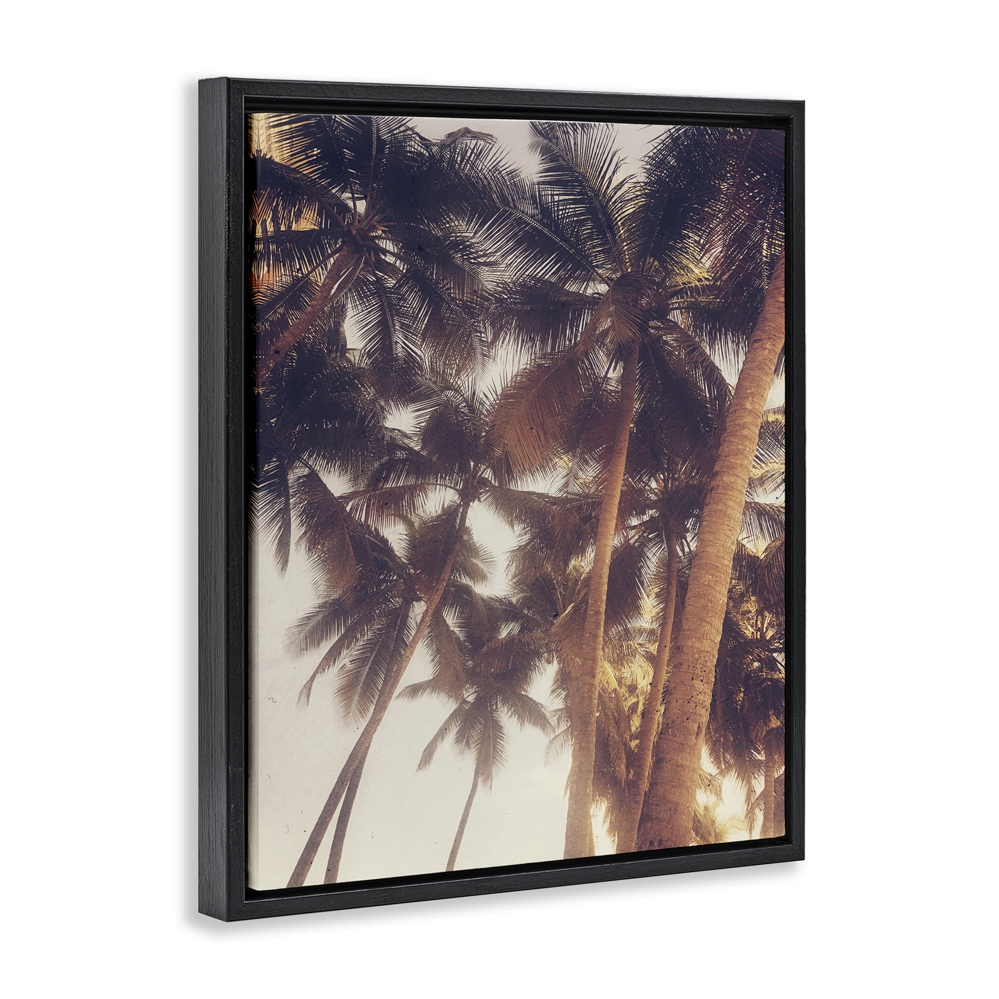 Stupell Industries Sunlit Palm Tree Plants & Flowers Photography Black Floater Framed Canvas Art Print Wall Art, 17 x 21
