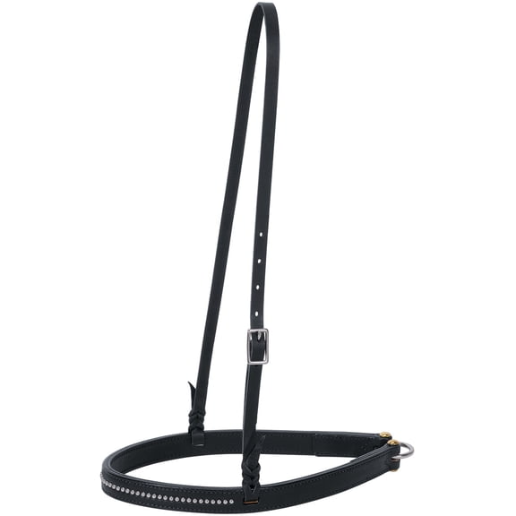 Back-In-Blk w/Nickle Brass Spots Noseband