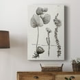 thumbnail image 5 of Black & White Protea on Linen II Premium Gallery Wrapped Canvas - Ready to Hang, 5 of 9