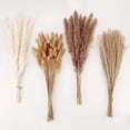 thumbnail image 5 of Boho Style Decorative Bouquet 50-Piece Dried Flower Set Natural Pampa Dried Flower Bouquet Wedding Party Decoration Home Decoration Dried Flowers White 38*3*3cm Hare Tail, 5 of 5