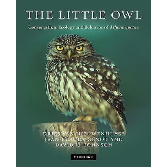 Le Petit Hibou: Conservation, Écologie et Comportement d'Athene Noctua
