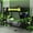 Green, variant on Twin Size Bunk Bed with Two Gaming Desks, Wood Gaming Bunk Frame with Charging Station and Pegboard Organizer, Green