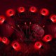 thumbnail image 4 of Luces decorativas de estaca Wdftyju para Halloween 6 cuentas solares aterradoras, 4 of 5