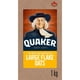 Quaker Large Flake Oats, 1kg - image 1 of 10