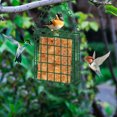 thumbnail image 5 of Clearance tumgatte Suet Bird Feeders for Outside Suet Bird Feeders Use with Bird Feeding Suet Cakes Seed Cakes Mealworm Cakes - Suet Feeder Cage Suet Feeder for Outsi Christmas Deals, 5 of 6