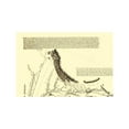 thumbnail image 3 of Topographical Map - Oregon Trail Wyoming 4 of 7 - Fremont 1846 - 23 x 34.50 - Vintage Wall Art, 3 of 5