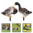 thumbnail image 4 of 2Pcs Garden Duck Stake Decoration Ground Insert Lifelike Acrylic Duck Stakes, 4 of 4