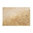 thumbnail image 5 of Hand Knotted Serenity Wool Rug - 7'9'' x 8'1'', 5 of 9