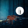 thumbnail image 4 of de animales de tarántula realistas, broma divertida, broma, broma, regalos para Halloween, decoración de de Navidad, cumpleaños, C CUTICAT Mando a distancia RC Spider, 4 of 8