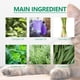thumbnail image 5 of Great promotion! Cat Flea Collar Pet Insect Adjustable Mosquito And Flea Collar Multi Functional Pet Collar, 5 of 5
