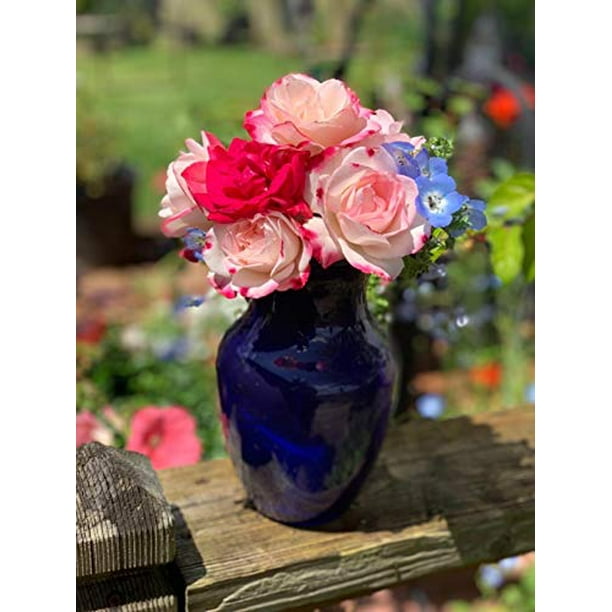Floral Supply Online 8 Clear Gathering Vase Decorative Glass Flower Vase for Floral Arrangements Weddings Home Decor or Office. Walmart