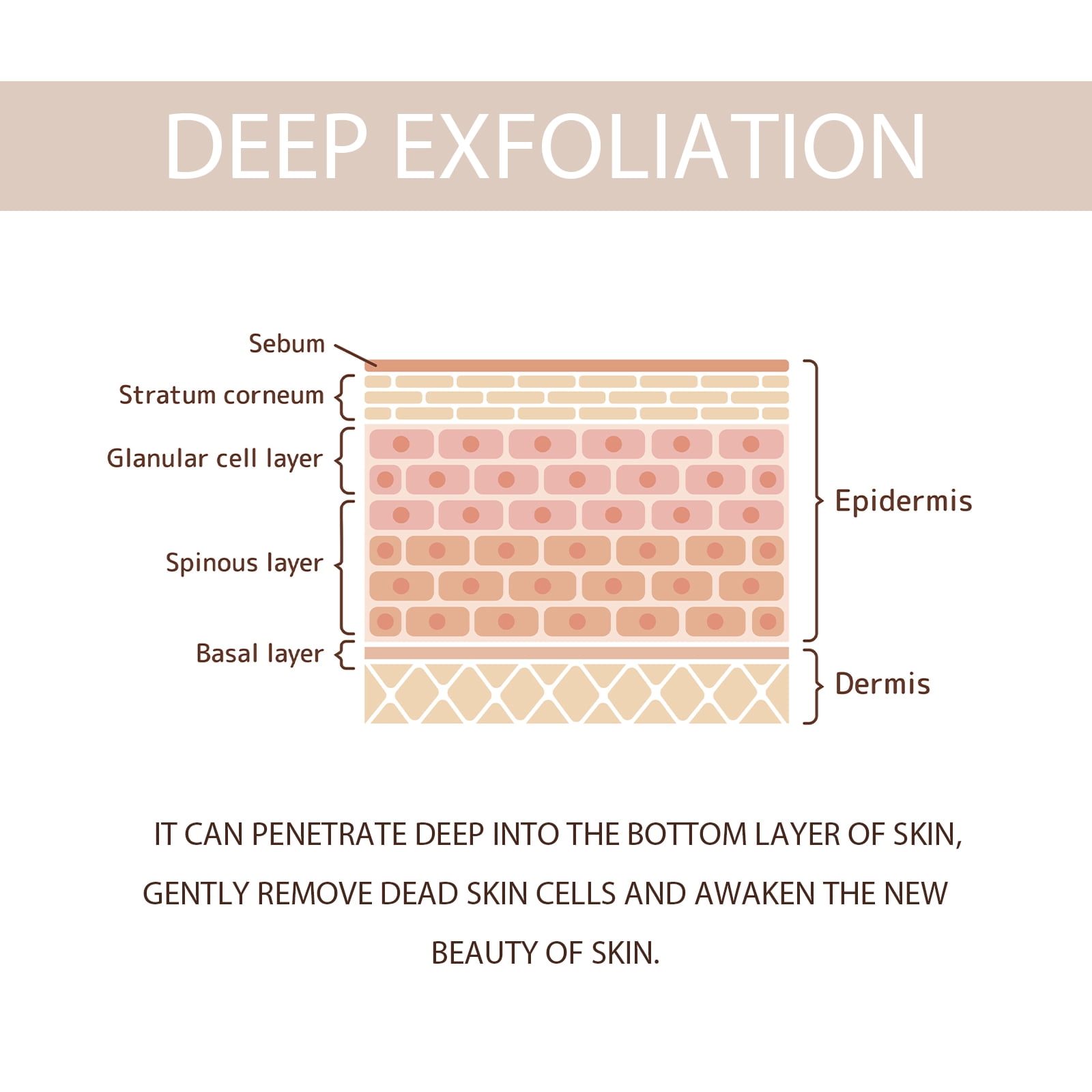 Alvantor Purifying Exfoliating Gel Face Scrub, Deep Pore Cleanser Blackhead Remover, 1.76oz