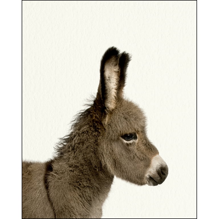 Baby Farm Donkey Nursery Wall Décor Farm Baby Animal Art Print