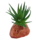 thumbnail image 4 of Plantas de acuario Plantas artificiales Plantas artificiales de terrario mi, 4 of 9