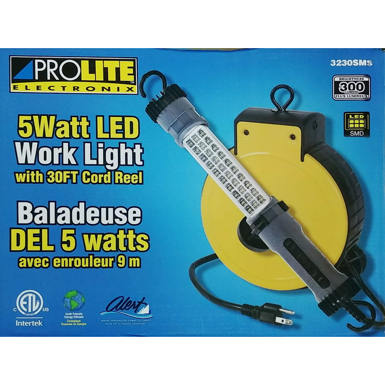 Projecteur LED 30W cable 3M - Wilmart