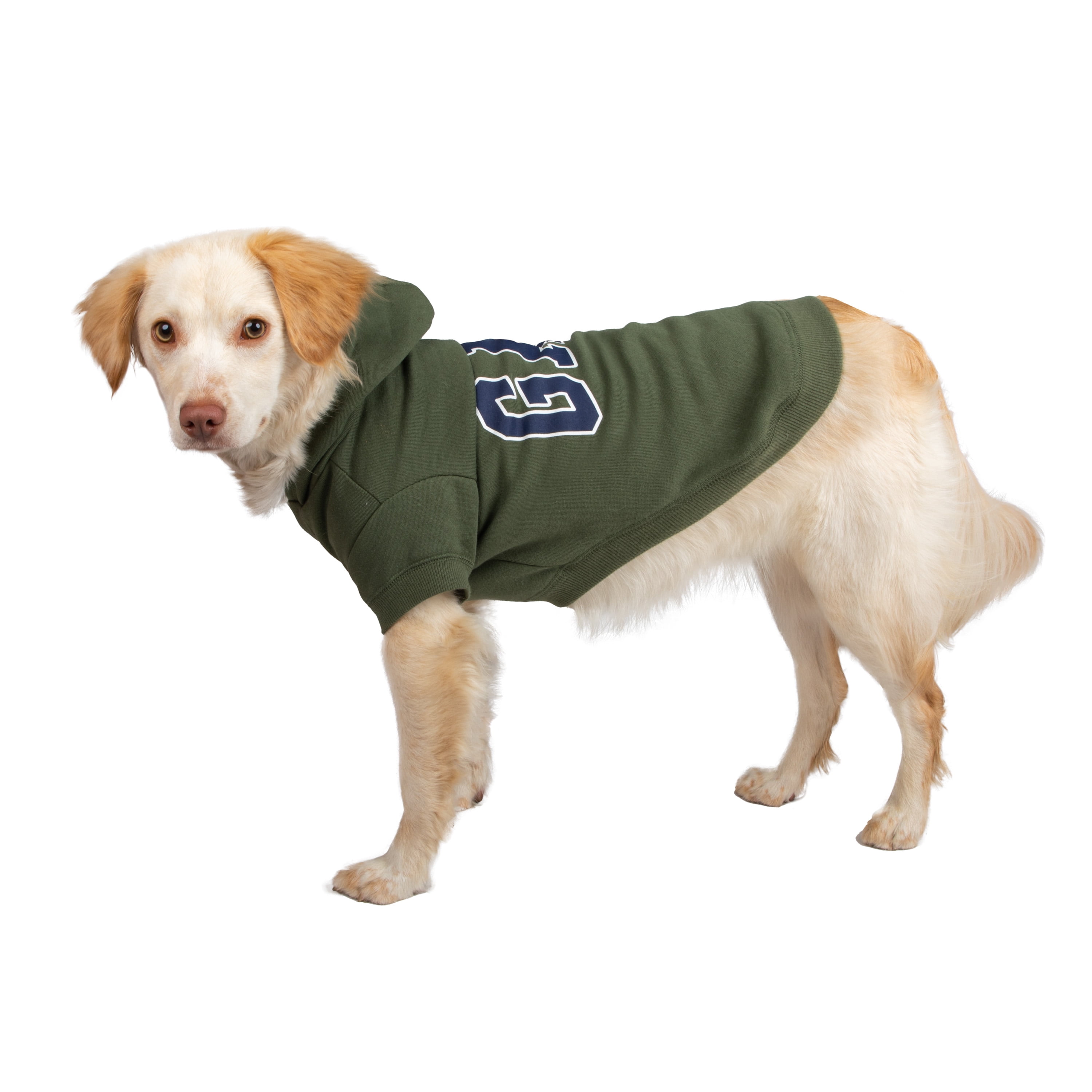 Gap Pet, Dog Clothes, Green Classic Pet Hoodie