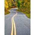 thumbnail image 2 of Eggers, Julie 14x18 Black Ornate Wood Framed with Double Matting Museum Art Print Titled - Colorado Curved Roadway near Aspen-Colorado in autumn colors and aspens groves, 2 of 4