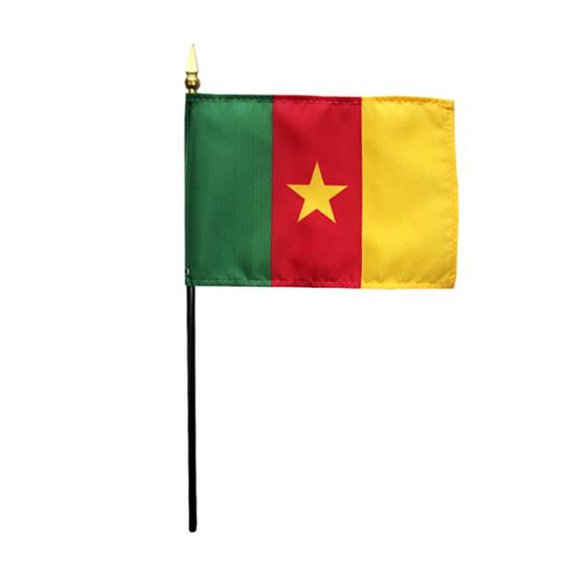 Annin Flagmakers 210025 4 x 6 in. Eb Cameroon Mounted, Pack Of 12