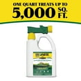 thumbnail image 6 of Ironite Plus Liquid Lawn & Garden Ready to Spray 7-0-1, 32 oz, 6 of 9