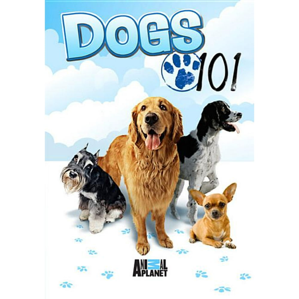 Dogs 101 (DVD)