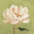 thumbnail image 3 of Scarvey, Emma 20x20 Black Modern Framed Museum Art Print Titled - Peony on Olive II, 3 of 5