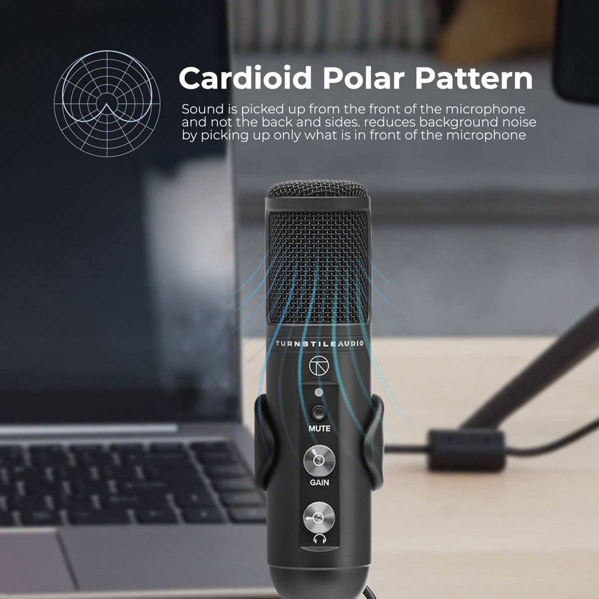 Turnstile Audio Platform Series TAP400 Cardioid USB Condenser Microphone, Professional Grade, PC, Mac, Gain Control, Zero Latency, Gaming, Streaming, Podcasts, Twitch, YouTube, Discord