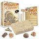 thumbnail image 1 of Mega Fossil Dig Kit – Excavate 55 Real Fossils Including Dinosaur Bones & Shark Teeth, Educational Toys, Great Gift for Girls and Boys, an EXCLU, 1 of 5