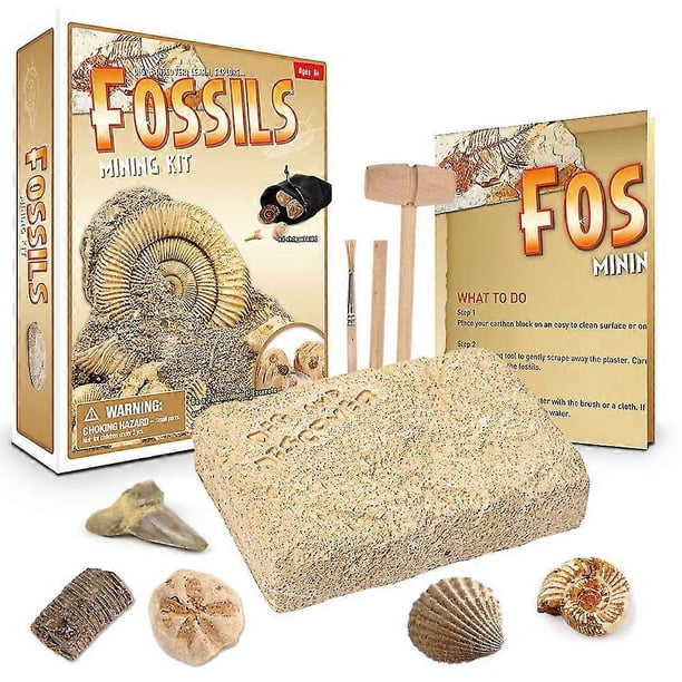 Mega Fossil Dig Kit – Excavate 55 Real Fossils Including Dinosaur Bones & Shark Teeth, Educational Toys, Great Gift for Girls and Boys, an EXCLU