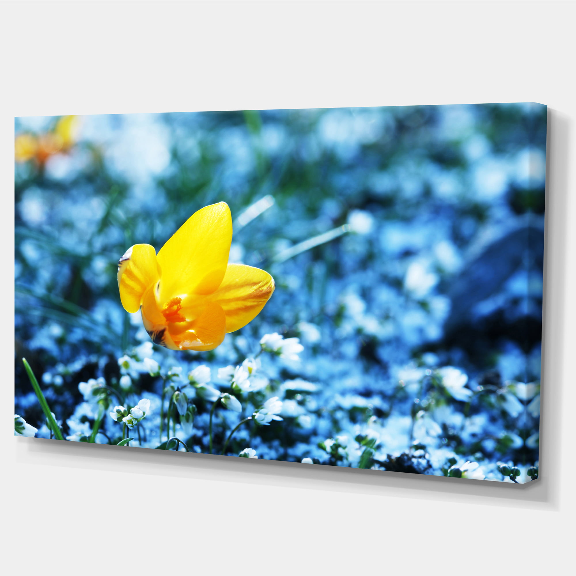 Beautiful Yellow Flower on Blue - Floral Art Canvas Print