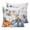 gray, variant on 16x16 Pillow Covers Set of 2, Fall Blue Pumpkins Square Throw Pillow Covers for Couch/Sofa/Living Room, Thanksgiving Eucalyptus Leaves Autumn Decorative Soft Pillowcases for Couch Throw Pillows