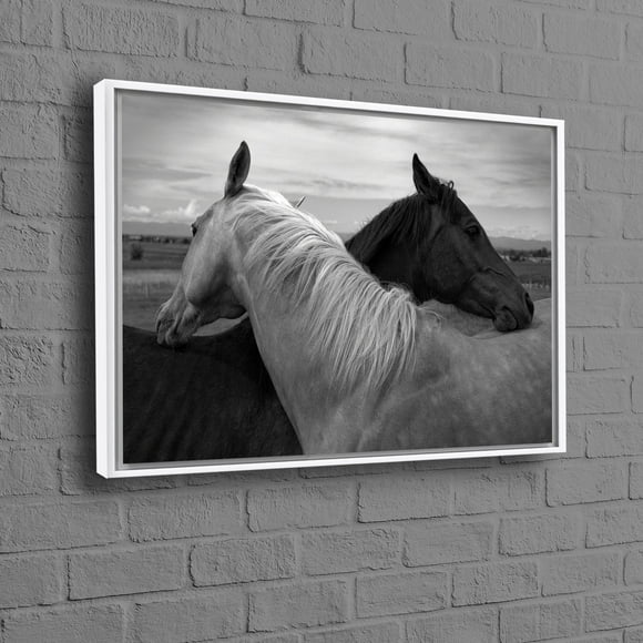 Stunning Black and White Horse Couple Canvas Wall Art Perfect for Wedding Decor or Personalized Baby Gift