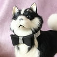 thumbnail image 1 of Collar de Seguridad de Perro Gato de Nudo Accesorios de Mascotas Ajustable - Negro, XS Salvador Collar de perro de mascota, 1 of 8