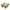 P, variant on Tainini Watermelon Ice Popsicle Molds 6 pieces , Popsicles Holder for Freezer Yogurt, Juice