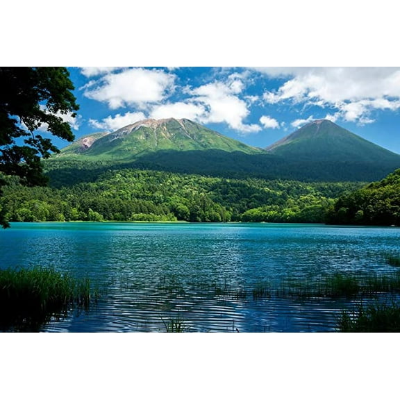 Iconic Arts Nature Scenery 36" x 24" Poster