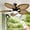 Brown & Black, variant on Uforic 52" Tropical Ceiling Fan with Light and Remote,5 Palm Leaf Blades Energy-efficient ceiling fan