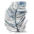 thumbnail image 3 of Scarvey, Emma 12x14 Black Modern Framed Museum Art Print Titled - Blue Feathered Palm III, 3 of 5