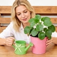 thumbnail image 6 of Metal Watering Can 1 Liter Capacity Garden Sprinkler For Indoor Outdoor Care,Green, 6 of 6