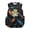 Dinosaur Lightning, variant on FKELYI Brown Highland Cow Print 17 Inch School Backpack for Kids Schoolbag Primary School Daypack with Multi-Pockets Spacious Rucksack Bookbag for Boys Girls Knapsack