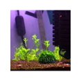 thumbnail image 5 of Artificial Seaweed Water Plants,Plastic Green Fish Tank Plant Decorations for Home Office Aquarium, 5 of 8