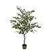 thumbnail image 3 of Faux 4ft Japanese Maple Tree, 3 of 4