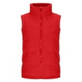 thumbnail image 2 of CHUMUD Women's Puffer Vest Casual Stand Collar Quilted Waistcoat Outdoor Padded Ski Vest Lightweight Jacket Warm Fishing Travel Hiking, 2 of 6