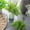 B1_Green 8.9", variant on SMKE Black 17.3" Gladiolus Leaf Greenery Stems,Artificial Branches,Vase Filler Leaves Spray,Fake Faux Plant Twigs,Bendable Flexible Stems,Real Touch Leaf Bouquet