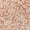 Coral, variant on Addison Rugs Chantille Indoor/Outdoor Traditional Damask Beige Washable Rectangle Rug, 1'8" x 2'6"