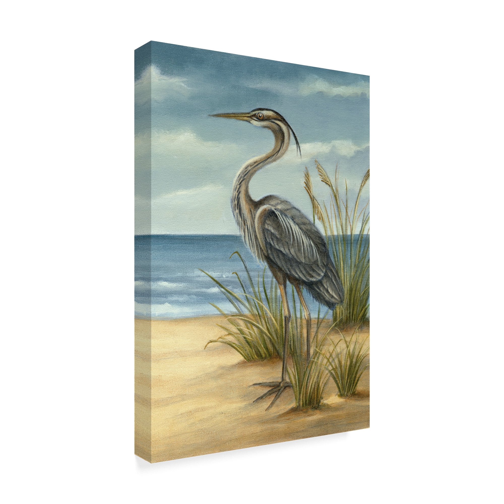 Trademark Fine Art 'Shore Bird II' Canvas Art by Ethan Harper