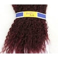 thumbnail image 2 of BRAZILIAN BRAID 20" FREETRESS LONG SYNTHETIC CURLY BRAIDING HAIR [99J], 2 of 2